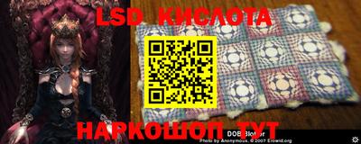 дмт Кимры