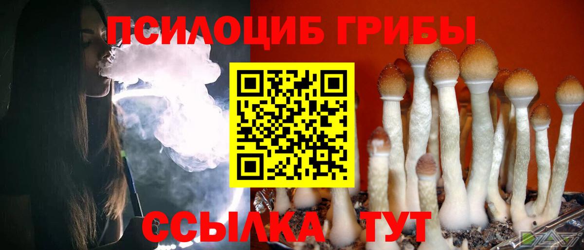 Галлюциногенные грибы Magic Shrooms Коломна